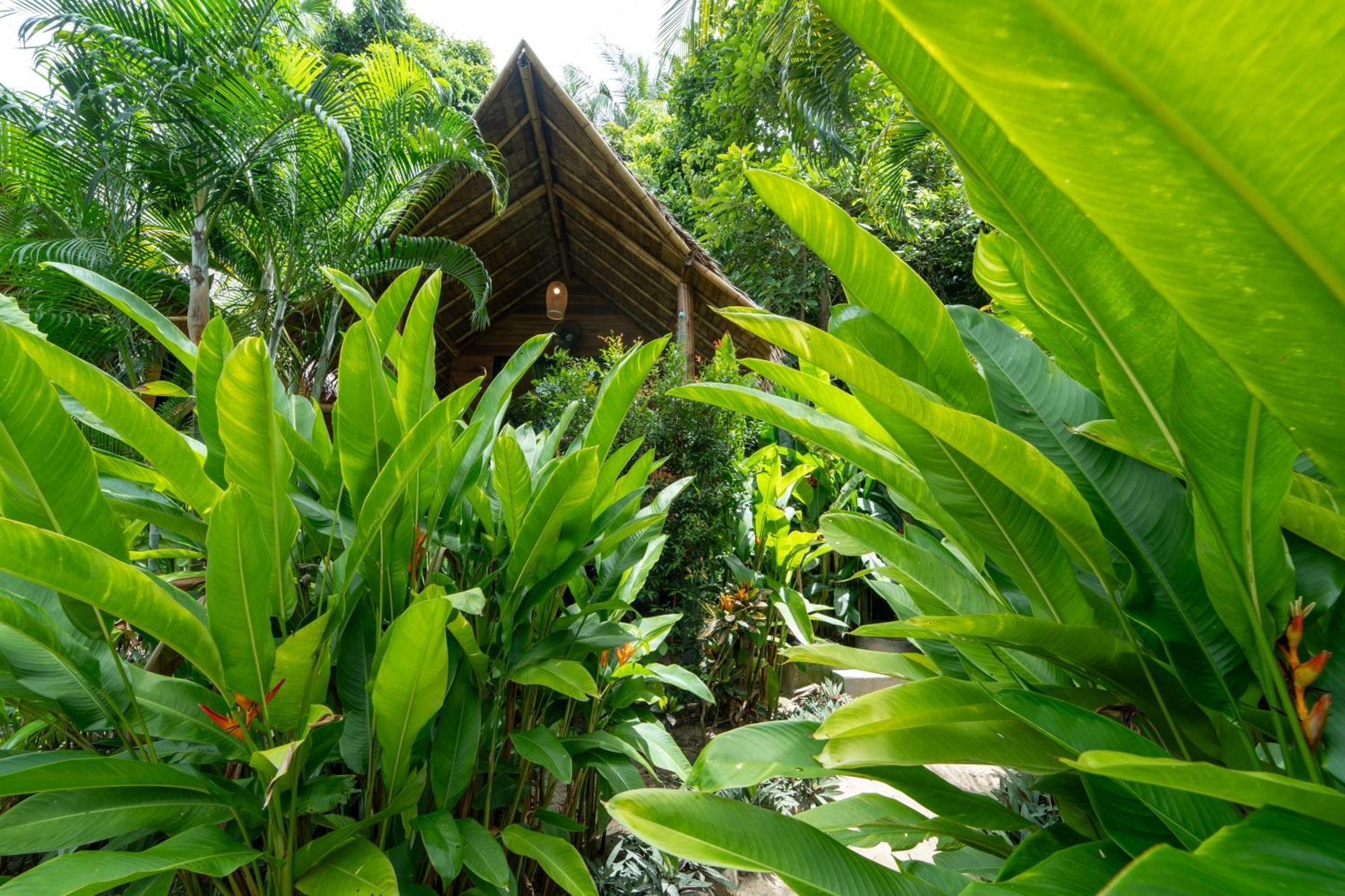 Bamboo Bay Eco Resort Srithanu Exterior photo